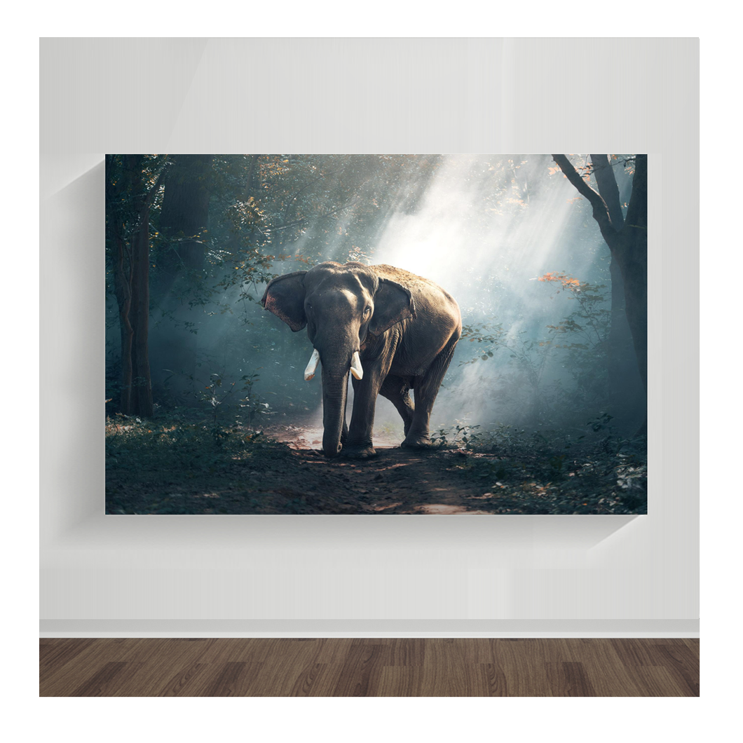 Elefante 03