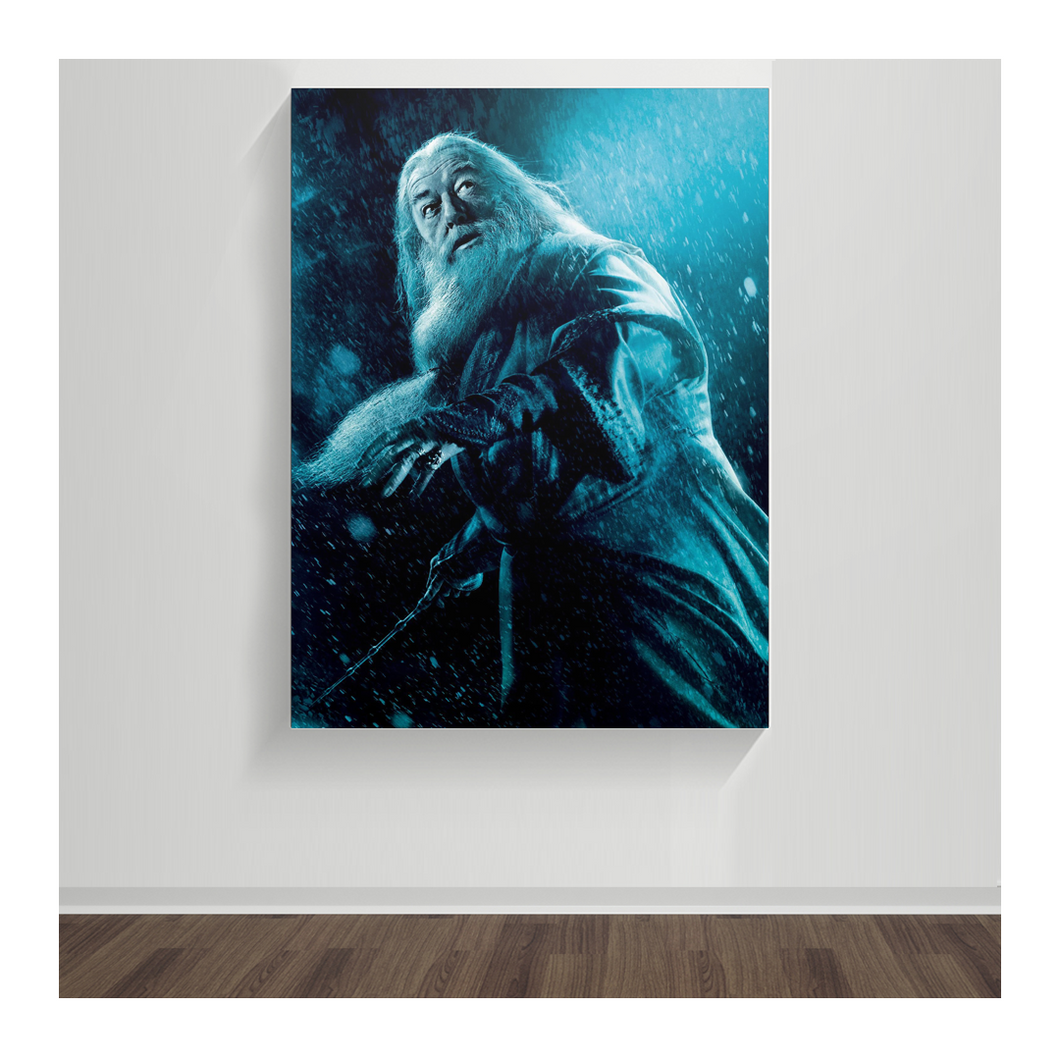 Harry Potter, Albus Dumbledore 18