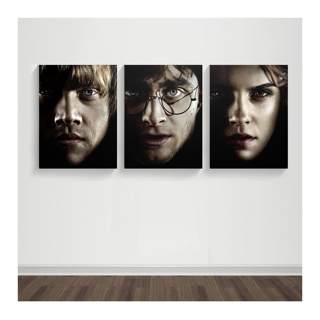 Tríptico Harry Potter 01