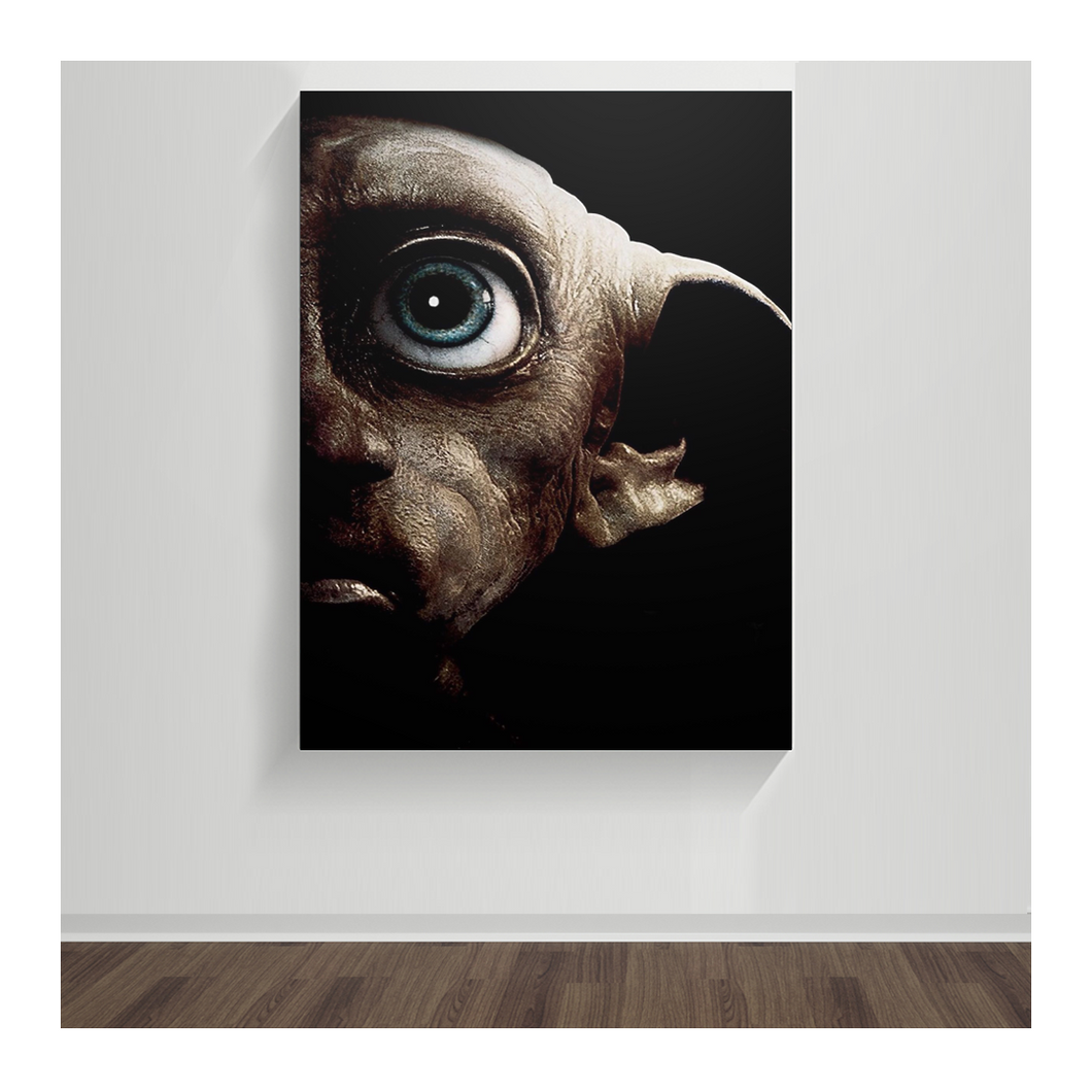 Harry Potter, Dobby 23