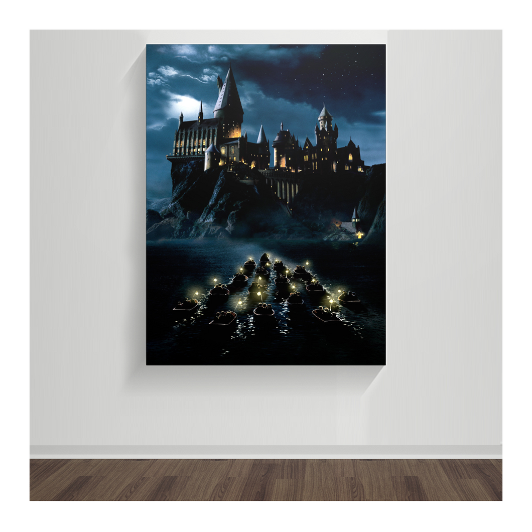 Harry Potter 29