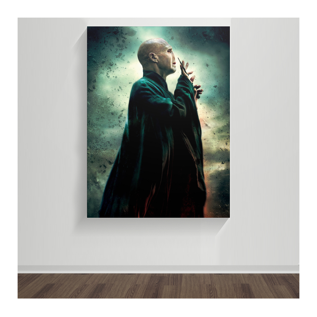 Harry Potter, Lord Voldemort 02