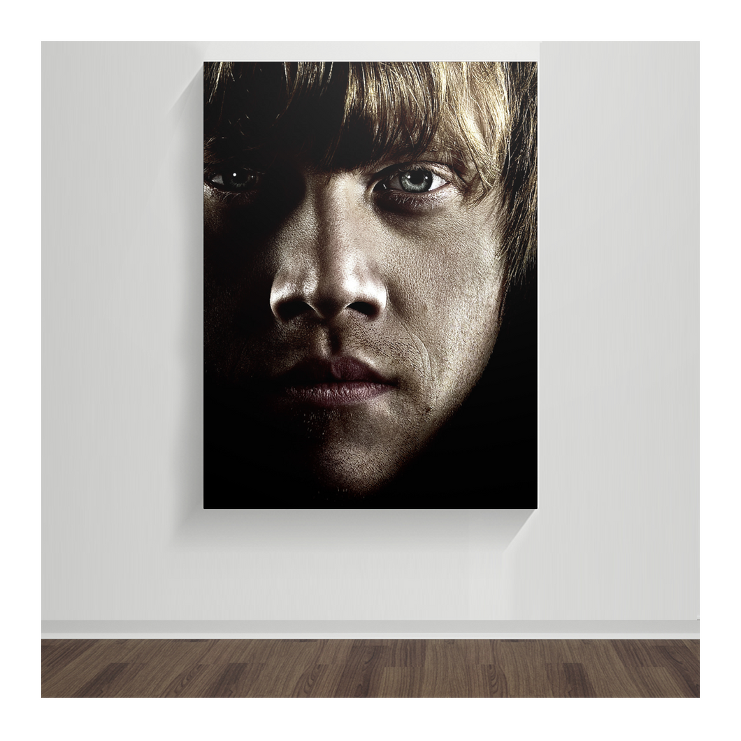 Harry Potter, Ron Weasley 08