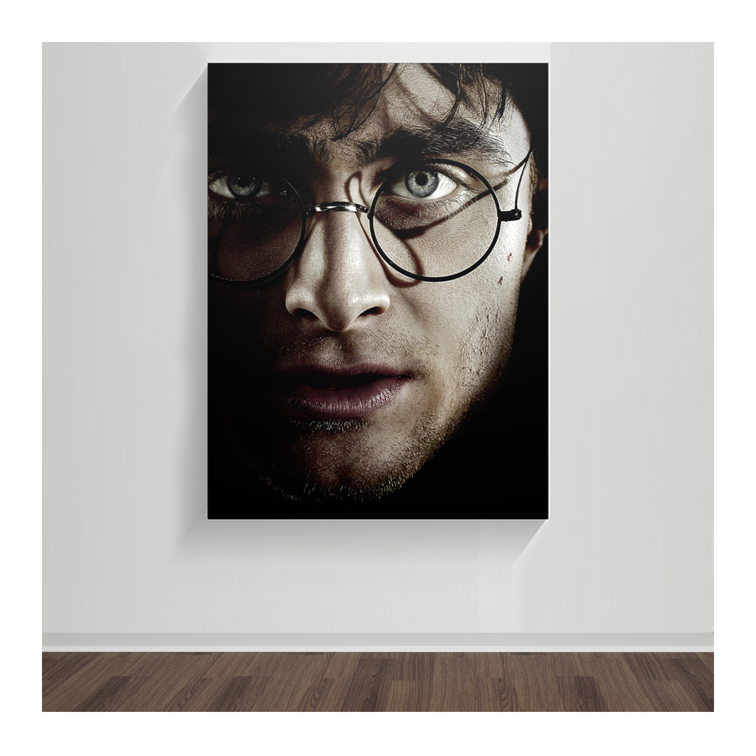Harry Potter 09
