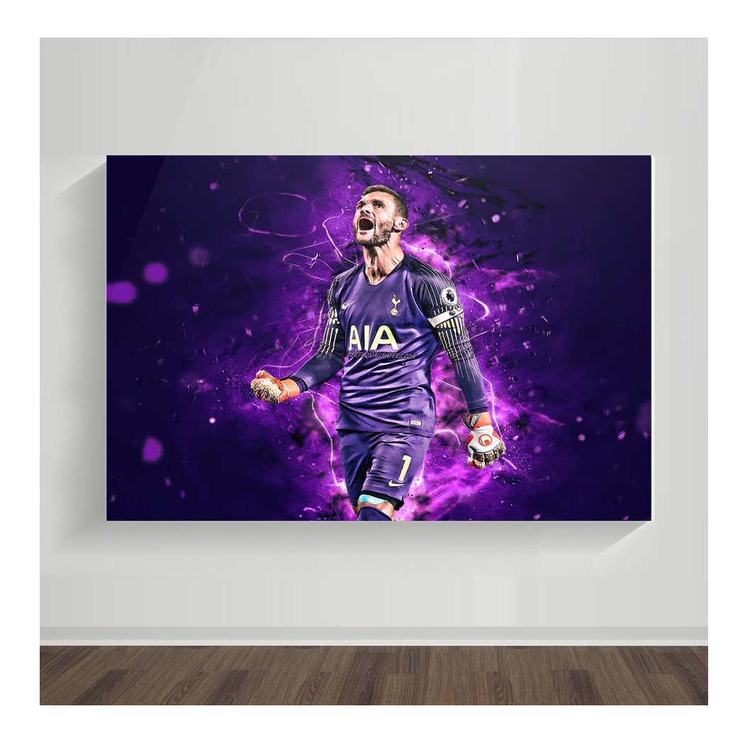 Hugo Lloris 02