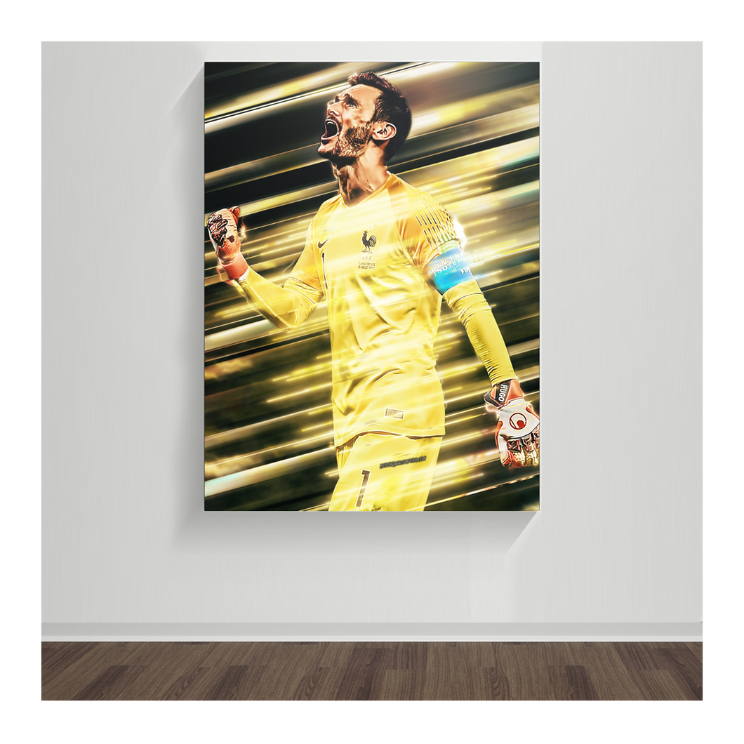 Hugo Lloris 03