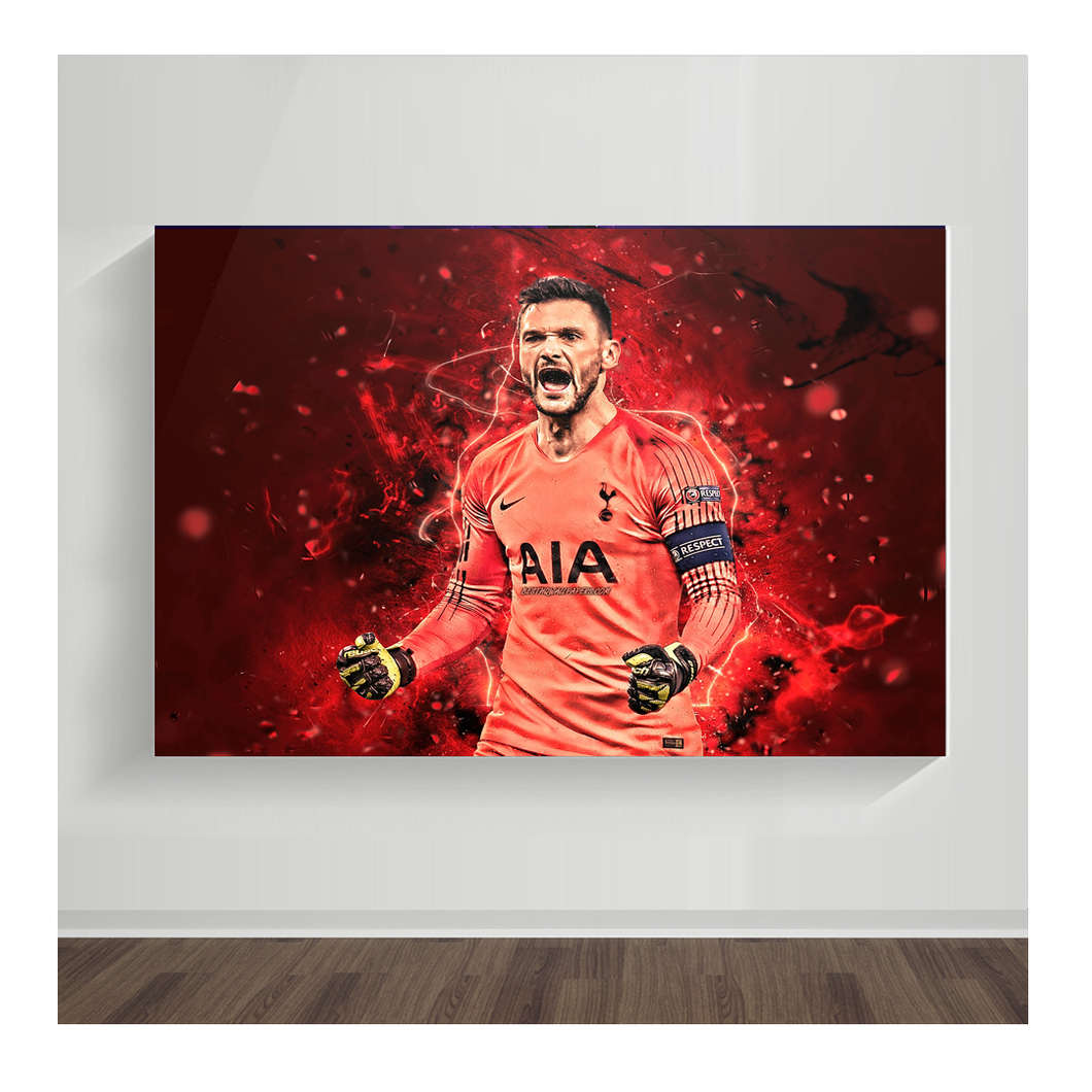 Hugo Lloris 04