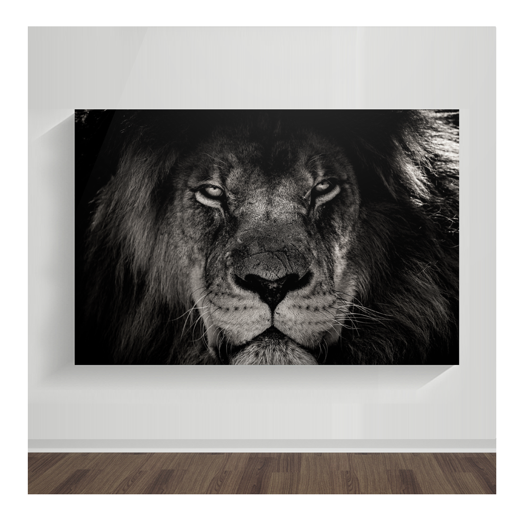 León 03