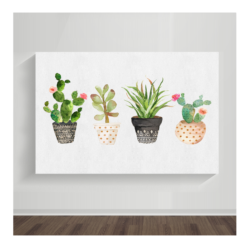 Plantas 01