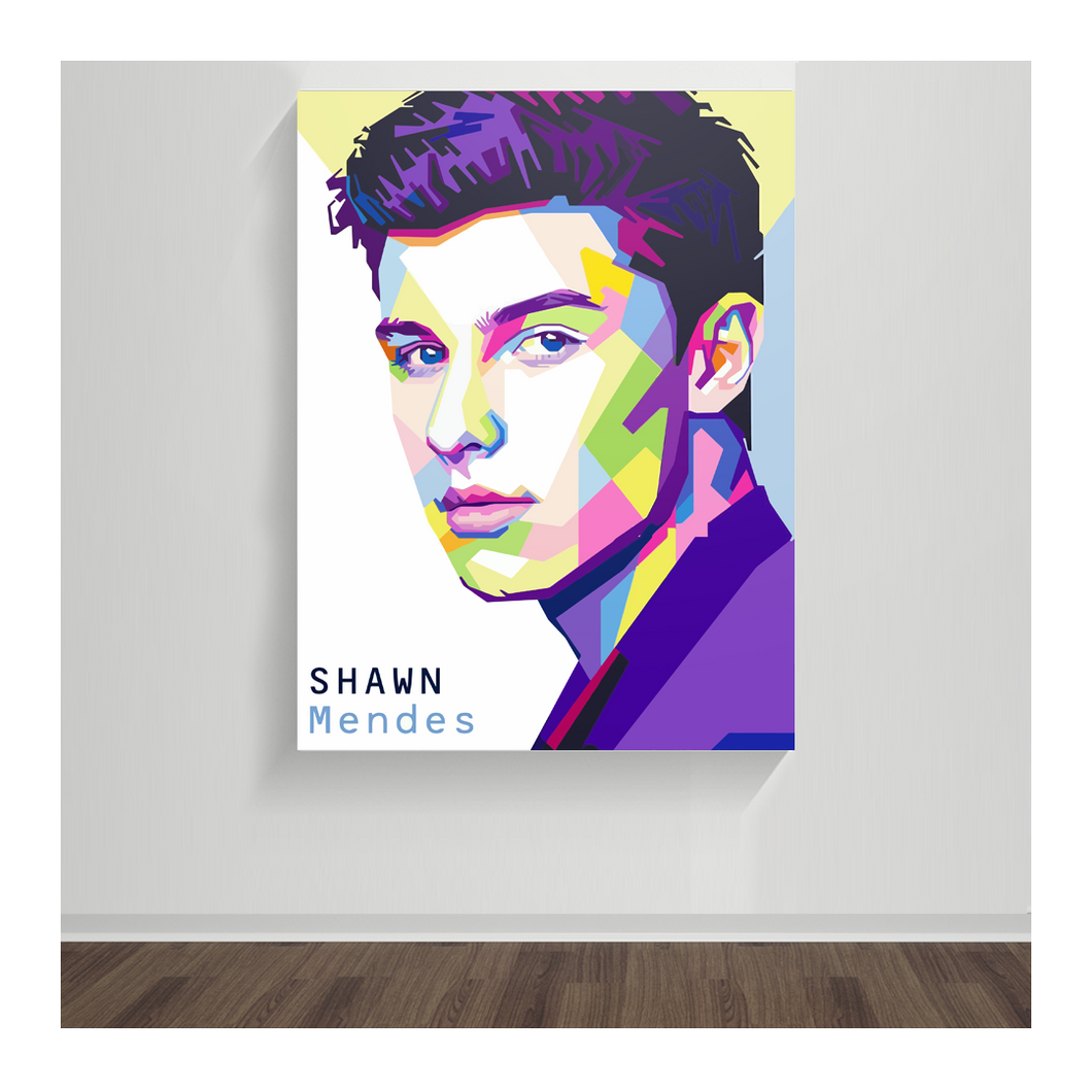 Shawn Mendes 01