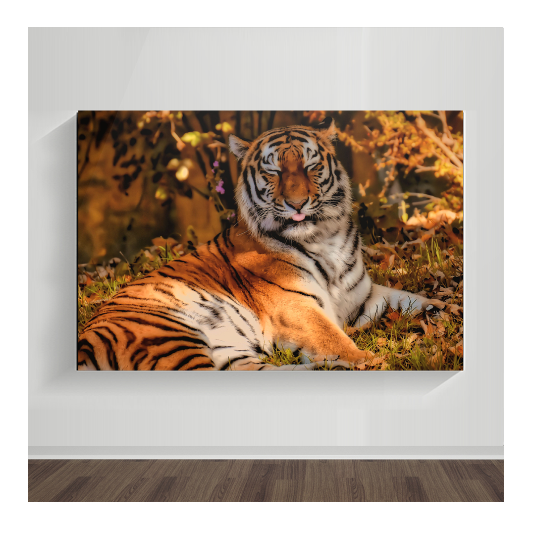 Tigre 02